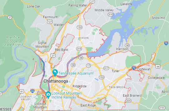 Chatanooga Bee Removal Services
